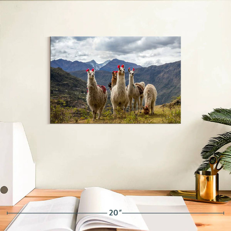 Lares Llamas, 8" H x 12" W