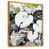 White Picture Framed