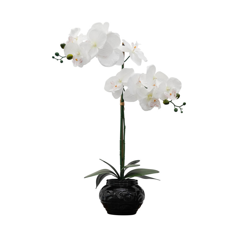 Silk Orchid Arrangement in Vase, Black