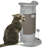 Scratching Post-92191311