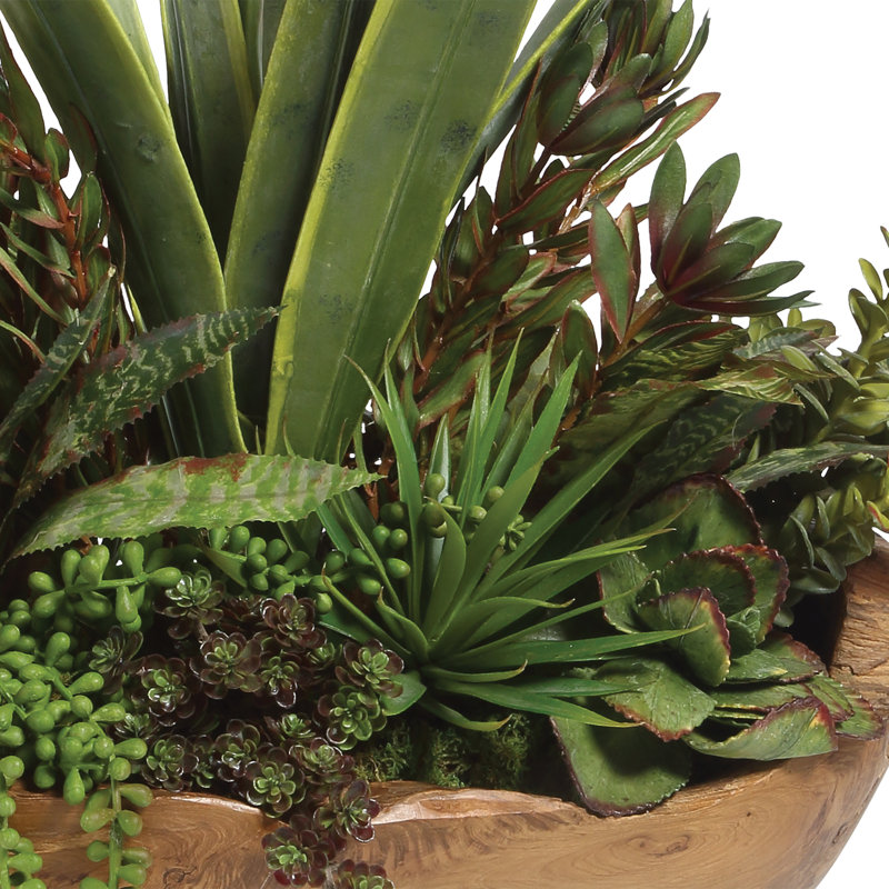 Salar 22'' Faux Succulent Arrangement in Teak Planter