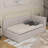 Twin Size Upholstered Daybed With 2 Storage Drawers-1521654799