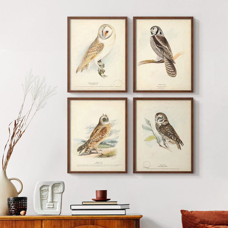 Barn Owl, reproduction encadrée - ensemble de 4, H 20 po x l 16 po, Naturel
