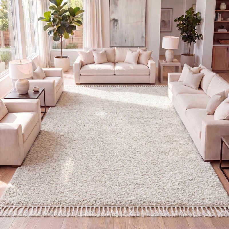 Tapis crème à poils longs Felicdad, Rectangle 5 pi 3 po x 7 pi 6 po