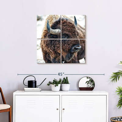 Brampt In The Presence Of Bison