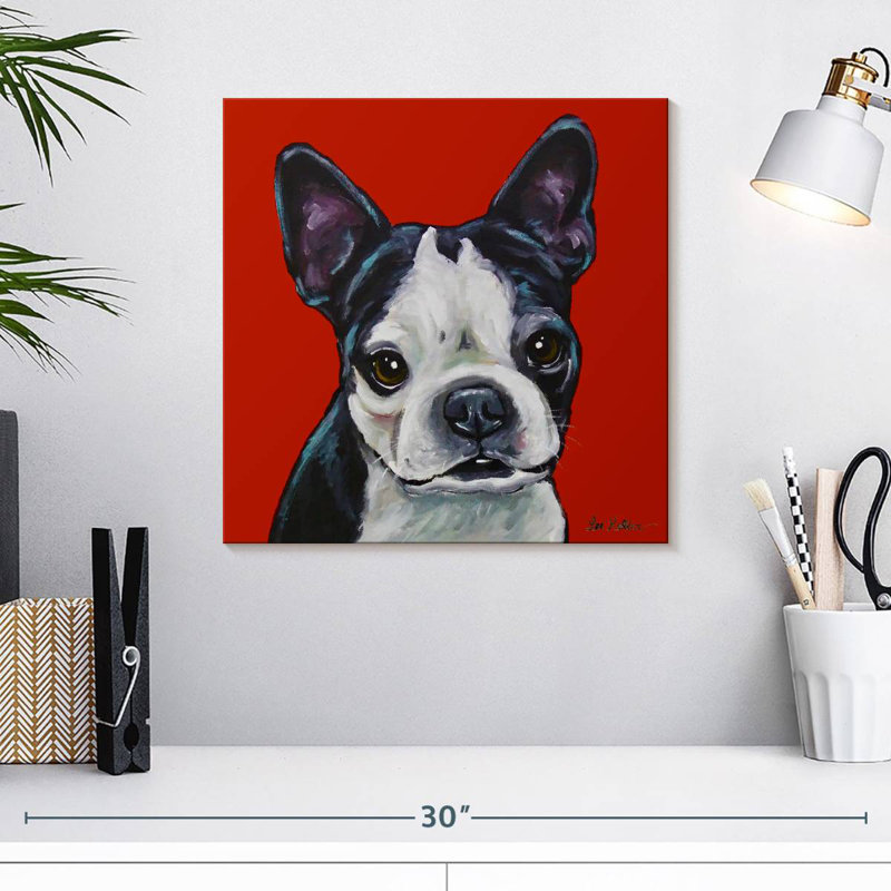 Sophie Boston Terrier On Red
