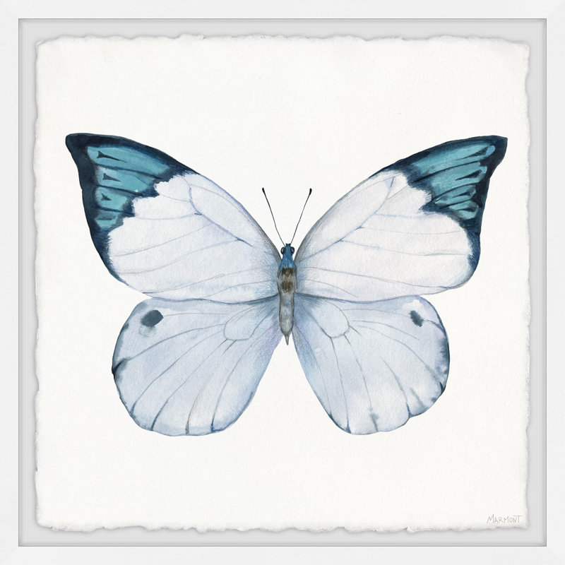 Snowy Butterfly Wings - Single Picture Frame Painting, 81cm H x 81cm W x 3.81cm D