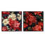 Duppstadt - Ensemble de 2 collages carrés botaniques abstraits-101844302-101844307