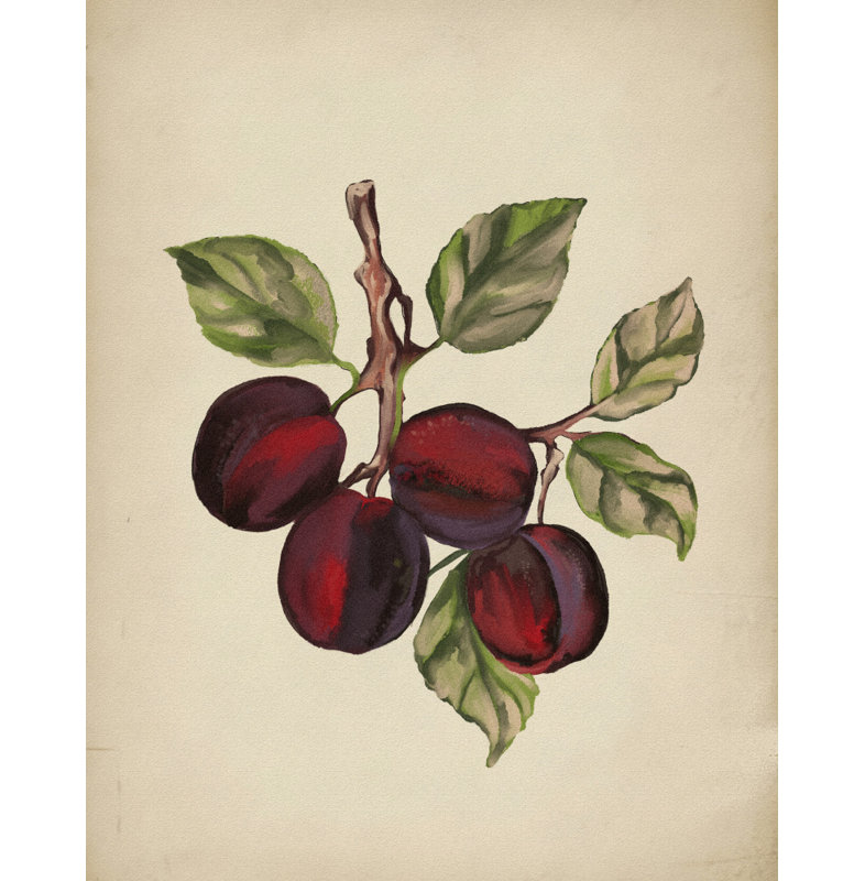 Ripe Plum Branch by Josie George — Botanical Wall Art, 16 × 24, Matted Framed Print, Black