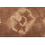 Tapis brun rouille moderne 5X8