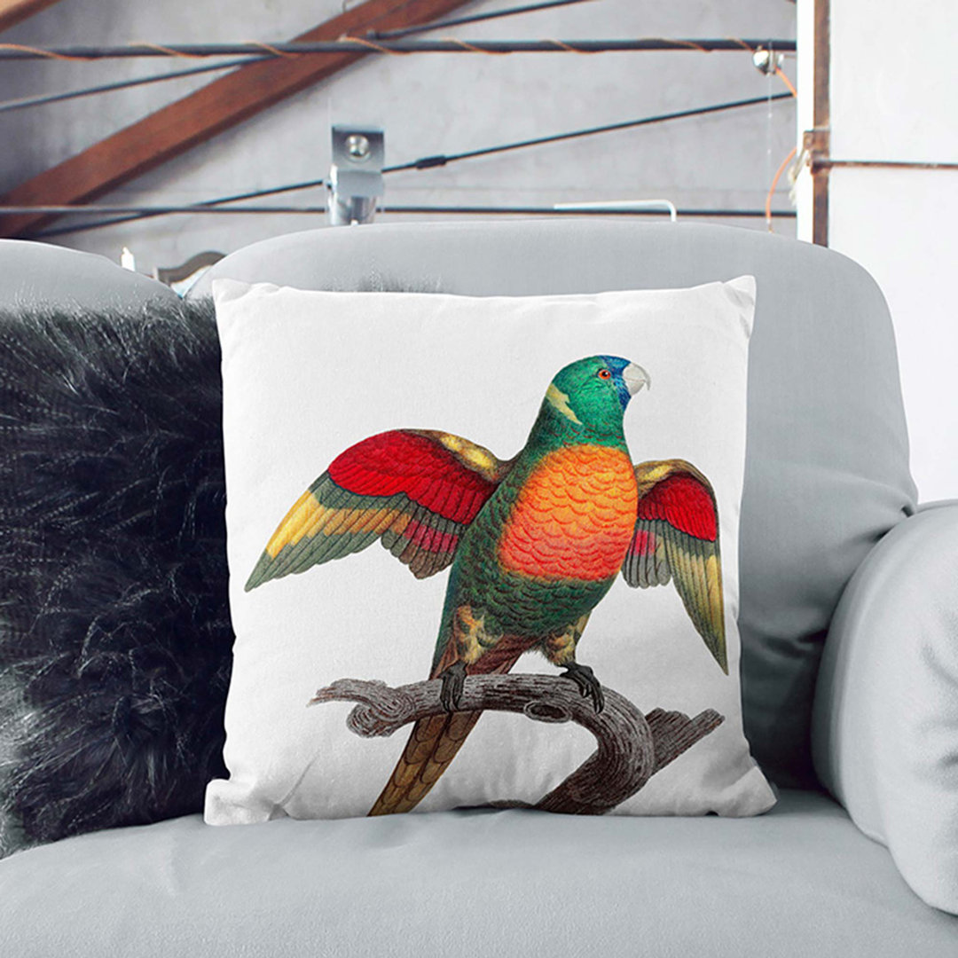 A Blue-Headed Parrot by F. Levaillant Cushion with Filling
