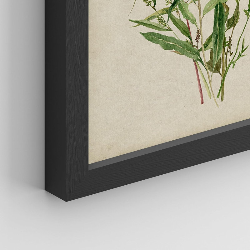 Watercolor Floral Botanical, reproduction encadrée de 4 pièces, Cadre noir, H 14 po x l 11 po x P 1 po