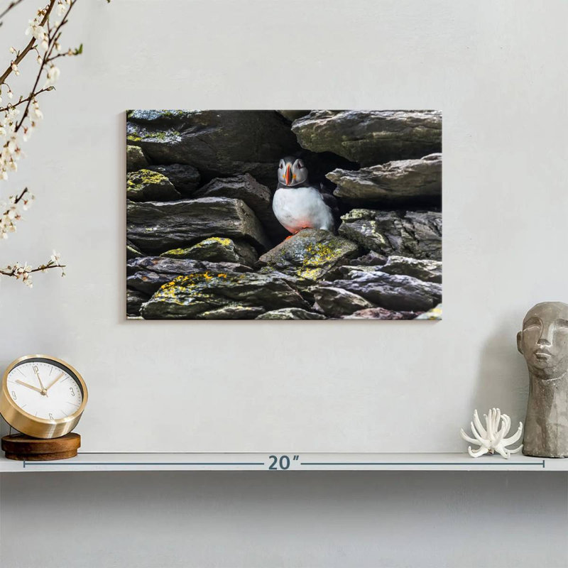 Crowle Resting Atlantic Puffin, 8" H x 12" W