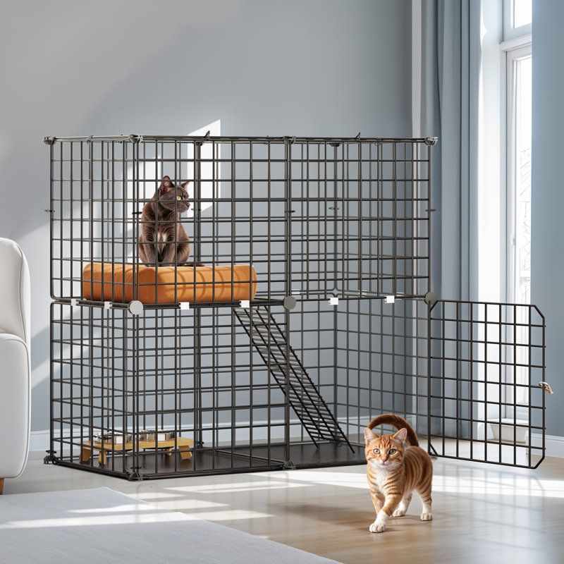 Cage à chat Felicita
