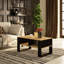 Shadiqua Coffee Table with Storage