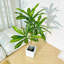 Arbre artificiel 47,24 po Dracaena-1702090471