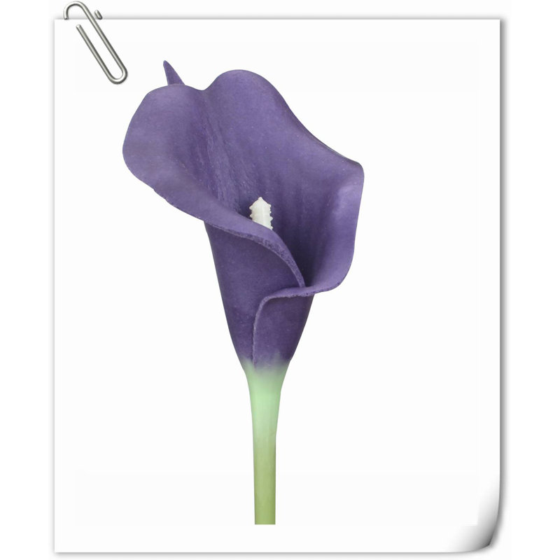 20 pièces de fleurs de lys Calla, Mauve