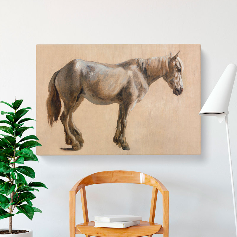 Study Of A Grey Horse by Jacques-Laurent Agasse - Wrapped Canvas, 35cm H x 76cm W x 3cm D