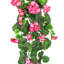 Buisson de géranium suspendu-518219301