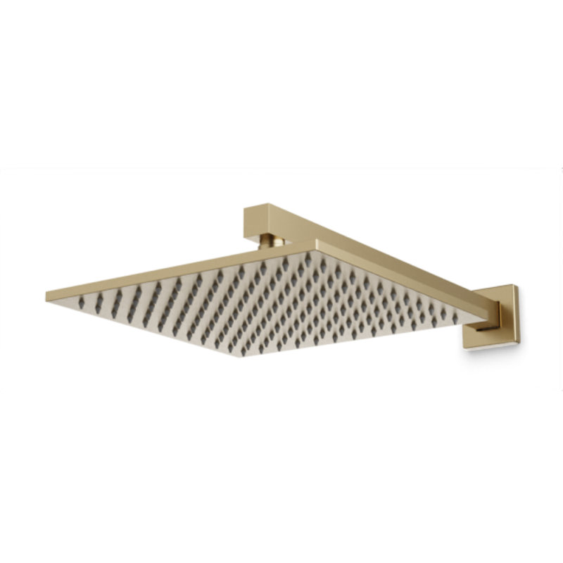 Rain Adjustable Shower Head, Satin Brass