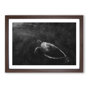 Walnut Framed