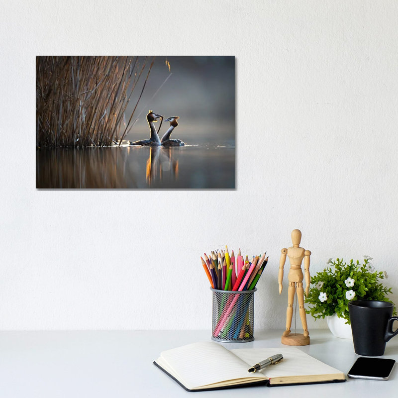 Courtships I by Mateusz Piesiak - Wrapped Canvas Print, 20.32cm H x 30.48cm W x 1.905cm D