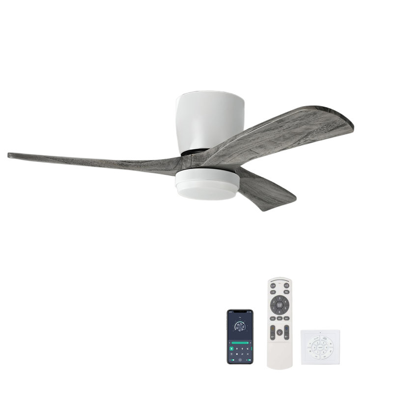 Ventilateur de plafond en bois massif avec plafonnier encastré, moteur à courant continu, Noir/gris, Noir/gris