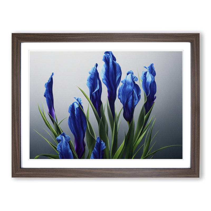 Royal Iris Flowers 1 Piece Single Picture Frame Wall Art, 25cm H x 34cm W x 2cm D, Walnut Framed
