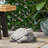 Strother Animals Weather Resistant Stone Garden Statue
