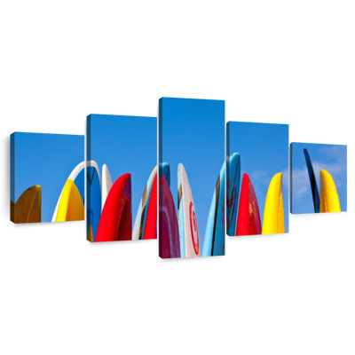 Surfboard Noses