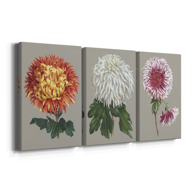 Chrysanthème sur fond gris I - Toile tendue sur mesure avec châssis - 3 pièces, H 12 po x l 24 po