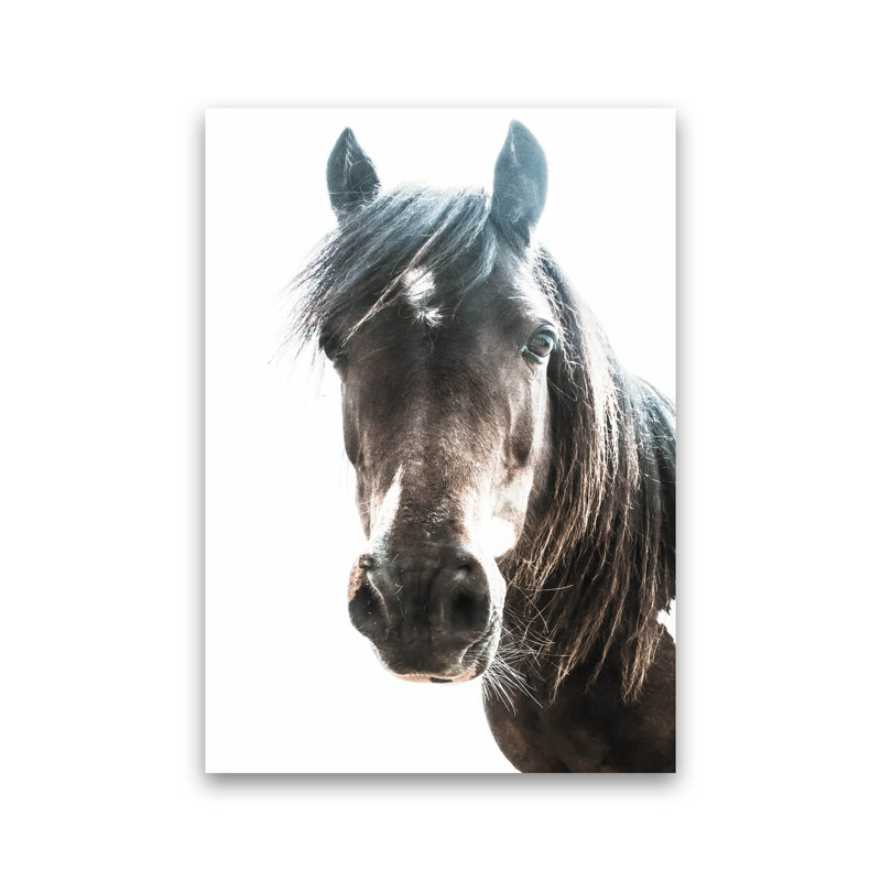 Brown Horse by Victoria Frost - Print, Unframed, 30cm H x 21cm W x 1cm D