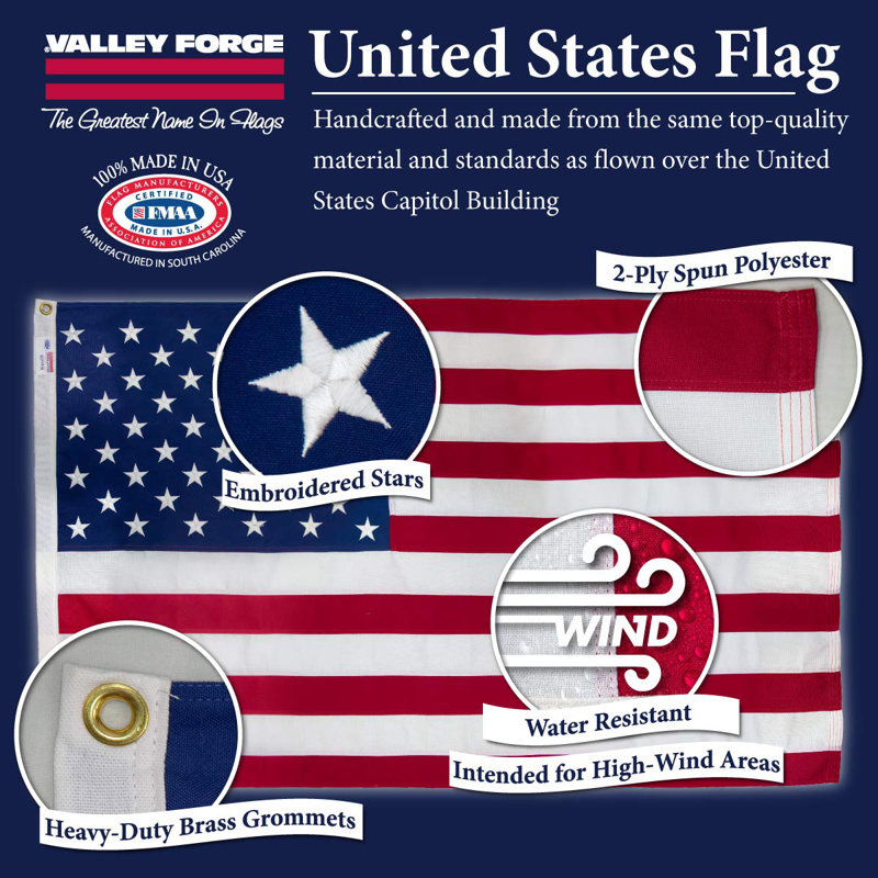 Valley Forge 3 ft x 5 ft Multicolored Polyester American Flag