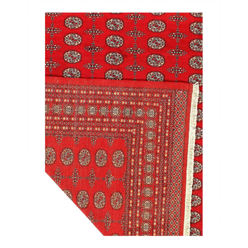 Oriental Area Rug