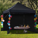 Camdyn 10 Ft. W x 10 Ft. D Steel Pop-Up Canopy