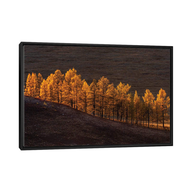 Sunset Light by Haim Rosenfeld - Floater Frame Print on Canvas