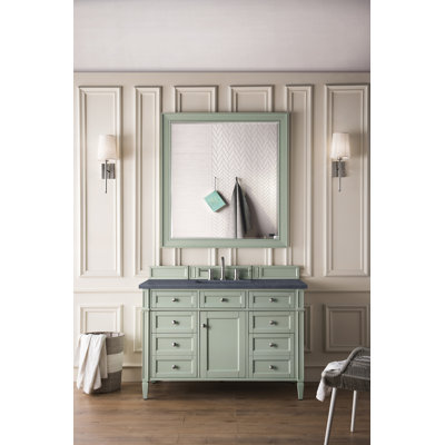 Dussault 48'' Single Bathroom Vanity with Top