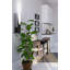Axis Single Light Steel Dimmable Armed Sconce-1010773089
