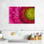 Gerbera magnifiée-2084898739