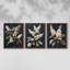 Étude florale série II - Ensemble de 3 estampes numériques encadrées - Prêt à être accroché-107253267-107253274
