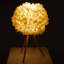 Wood USB Desk Lamp