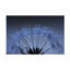 «Shine and Sparkle» par Beata Czyzowska, impression sur toile tendue-1115201013