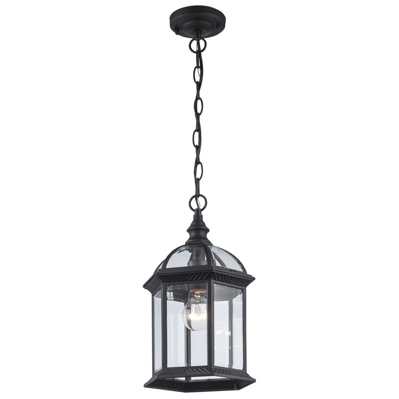 Roscoe 1 -Bulb 13.5" H Outdoor Hanging Lantern, Rust