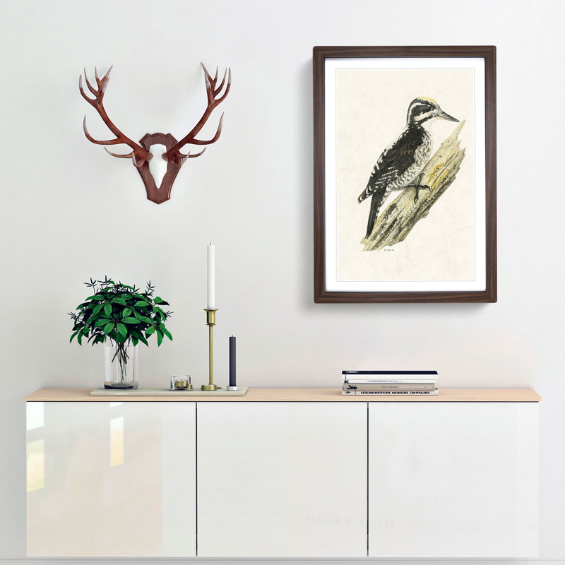 A Three-Toed Woodpecker by Von Wright - Single Picture Frame Painting, Walnut Framed, 63cm H x 45cm W x 2cm D