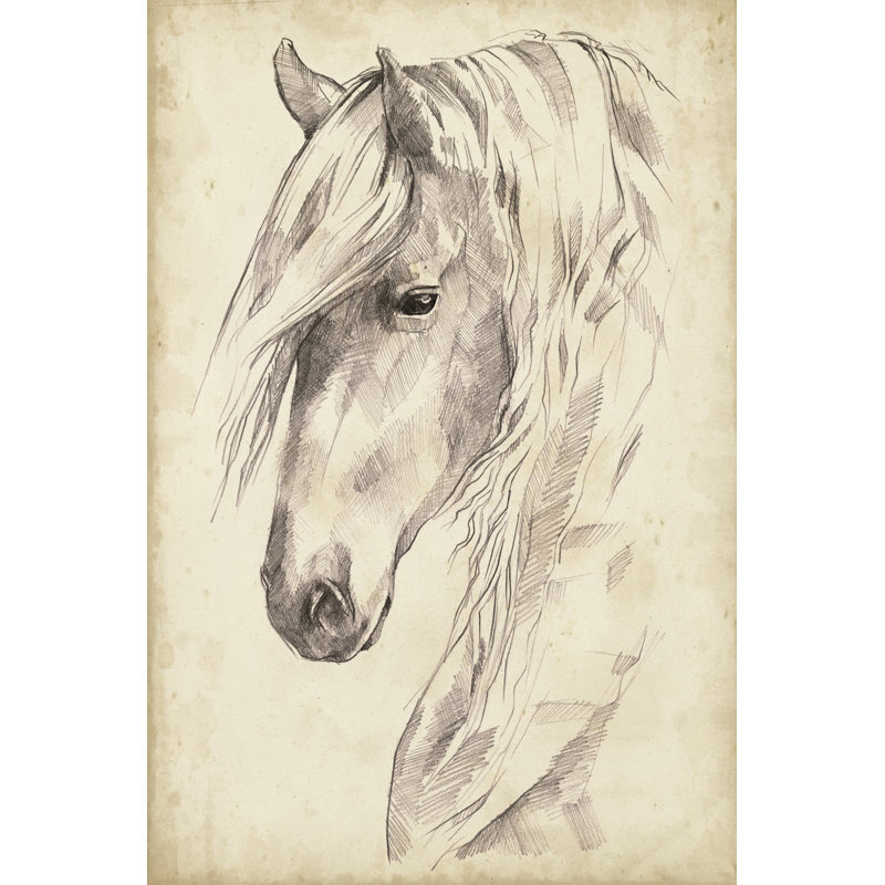 Croquis de portrait de cheval II, H 12 po x l 8 po x P 1 po