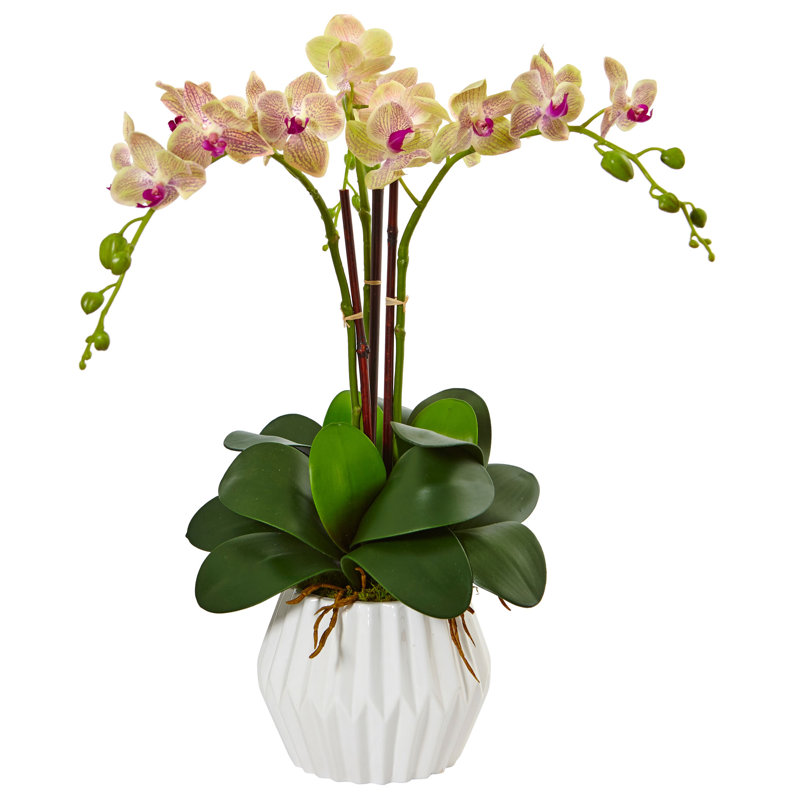 Elegant Faux Phalaenopsis Orchid Arrangement in White Ceramic Vase