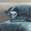 Shiny Velvet Pillow Cover-93563657-93563630-93563629