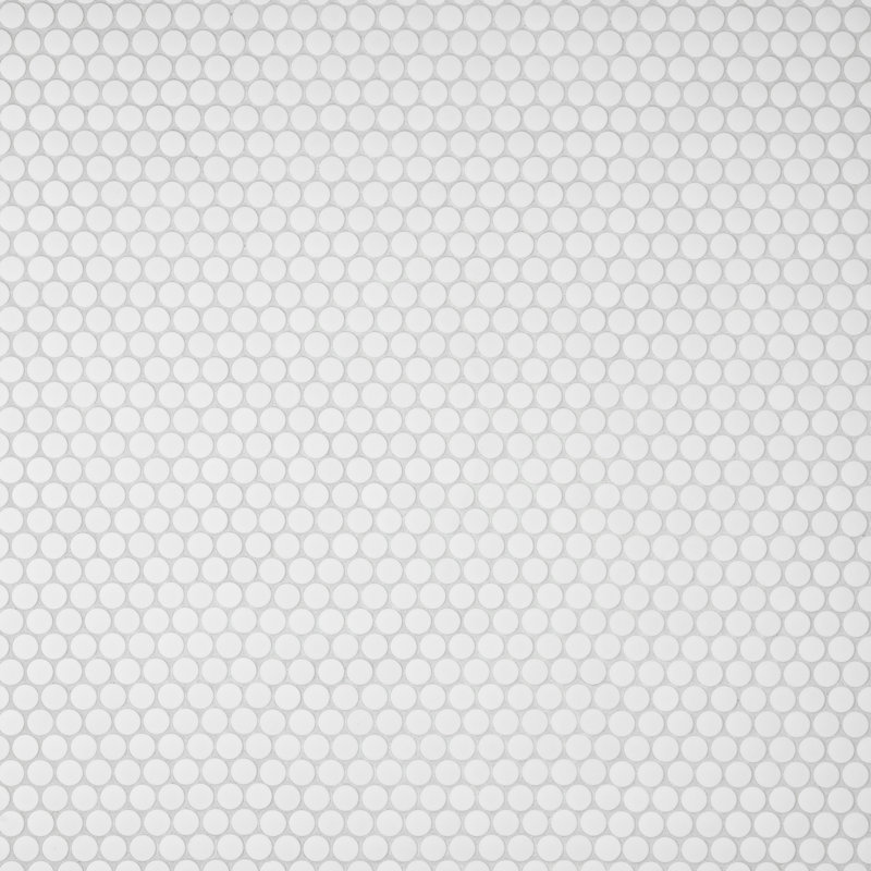 Gotham 1" X 1" Porcelain Penny Round Wall & Floor Tile, White