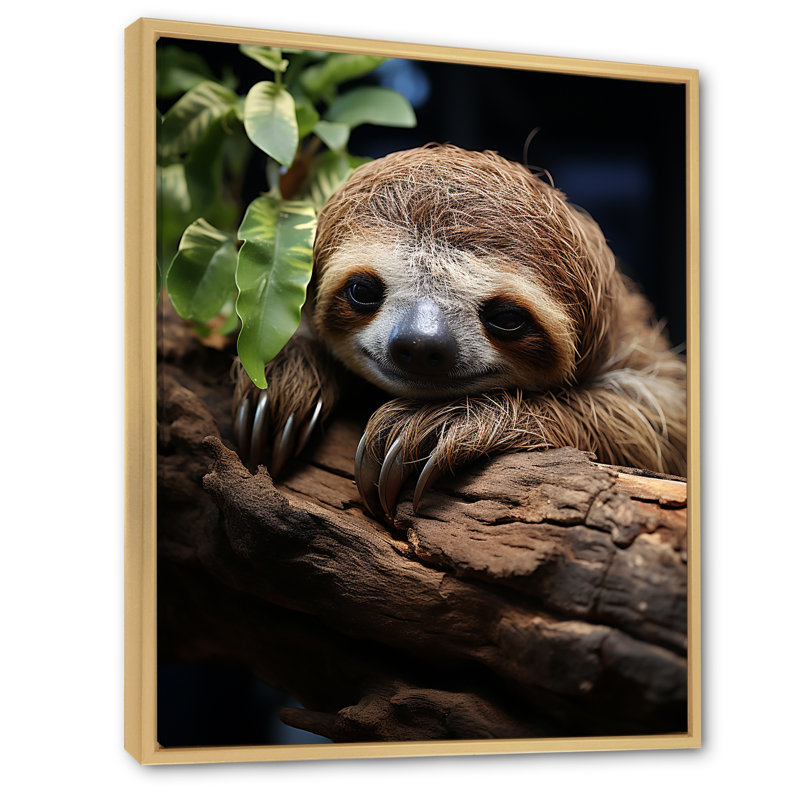 Rustic Repose Sloth sur toile, Cadre naturel flottant, H 20 po x l 12 po x P 1 po