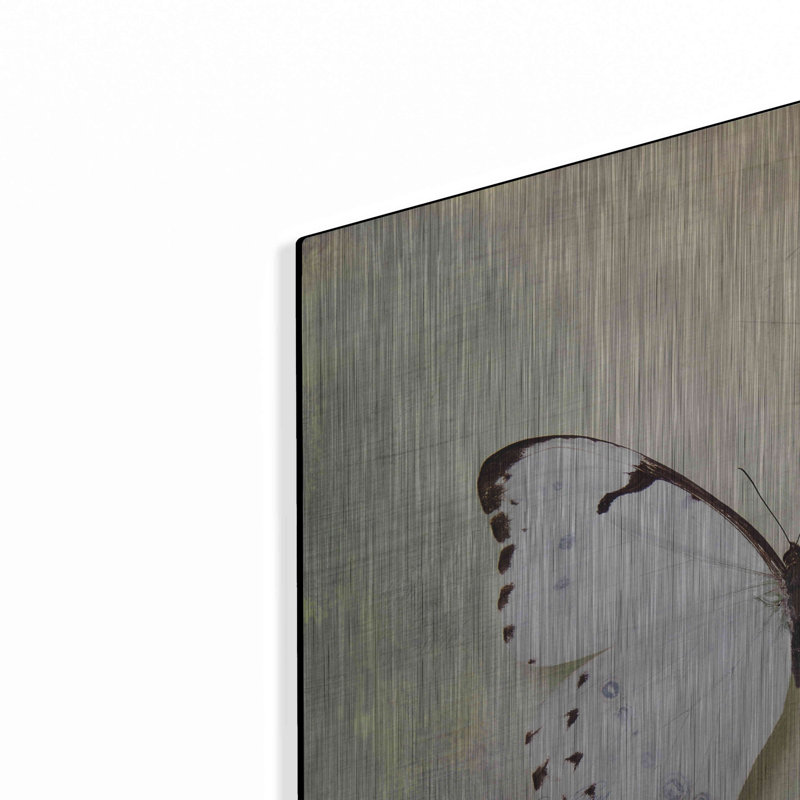 «French Butterfly II» par Debra Van Swearingen, H 24 po x l 24 po